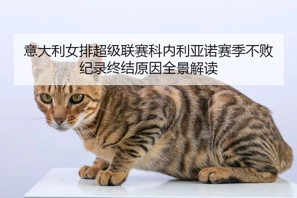 yi-da-li-nv-pai-chao-ji-lian-sai-ke-nei-li-ya-nuo-sai-ji-bu-bai-ji-lu-zhong-jie-yuan-yin-quan-jing-jie-du-2-311.jpg